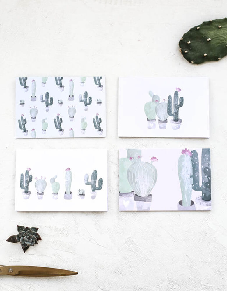 cactus postcard