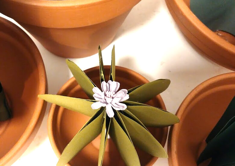 DIY Paper Cactus
