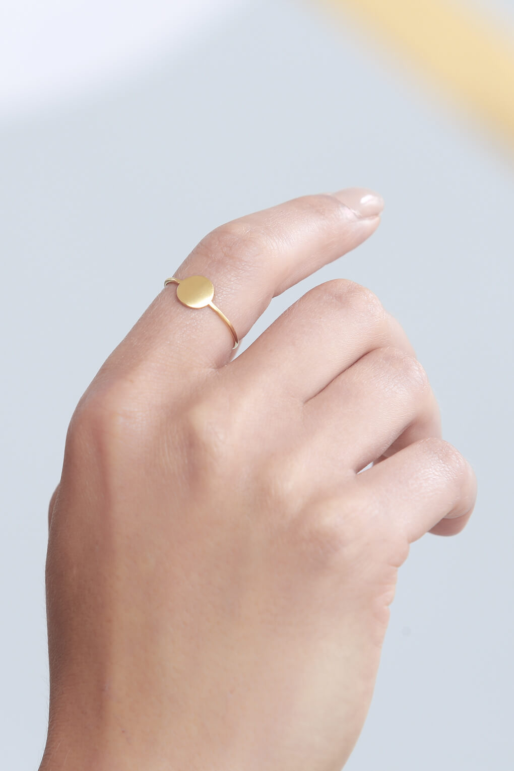 Full Circle Ring 411122-2